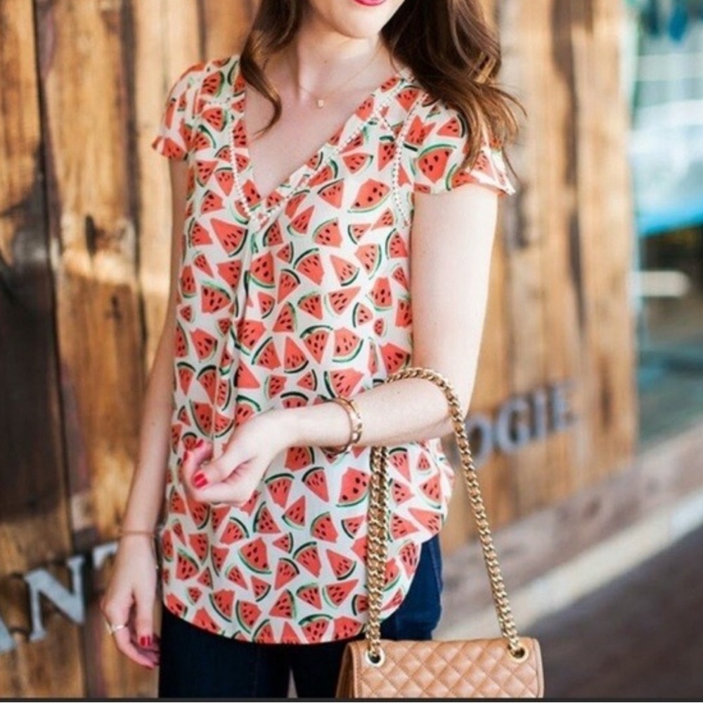 Anthropologie Maeve Watermelon Patterned V-Neck Blouse Size 10